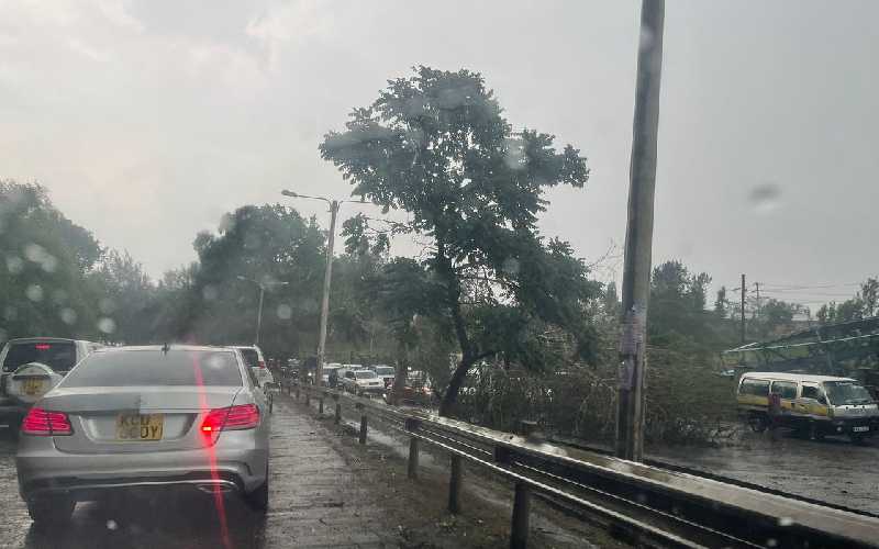 Brace for heavy rainfall, Weatherman warns Kenyans