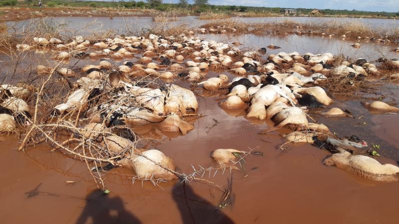 Call for donations after scores of houses and animals washed away in Taveta