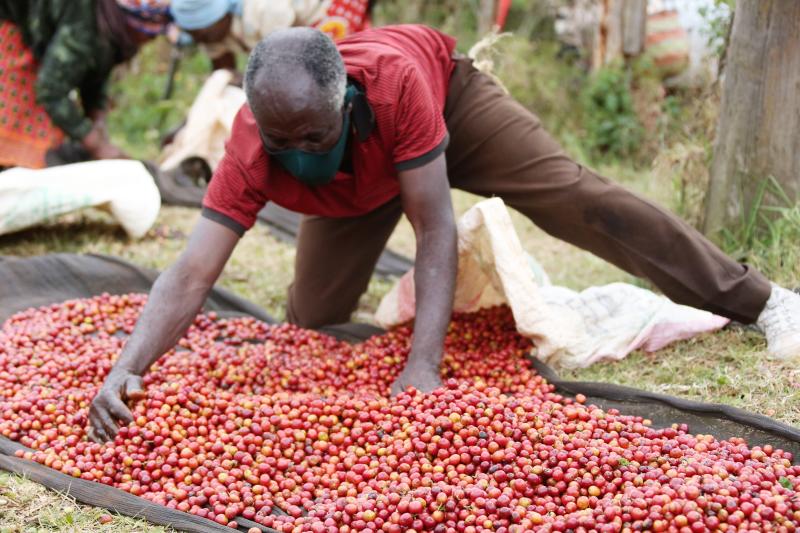 Changes unwise, say coffee farmers