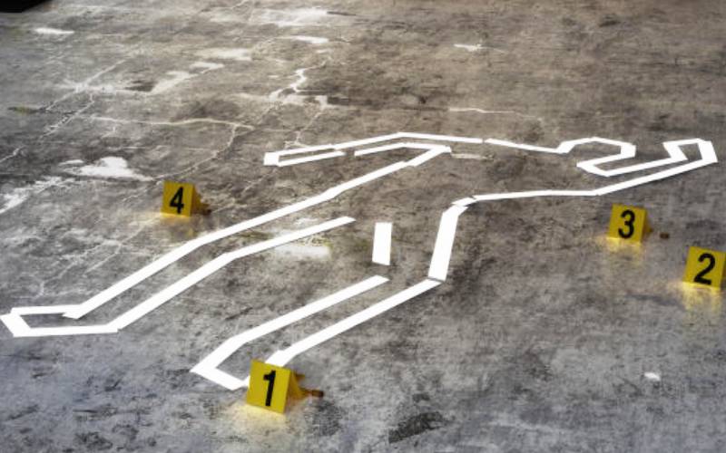 Court stops witness in Briton murder case