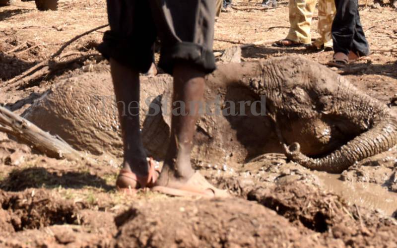 which flows along the Baringo reserve dried up