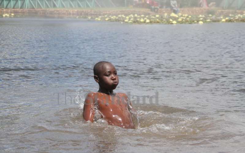 By all accounts, they sure have fun!