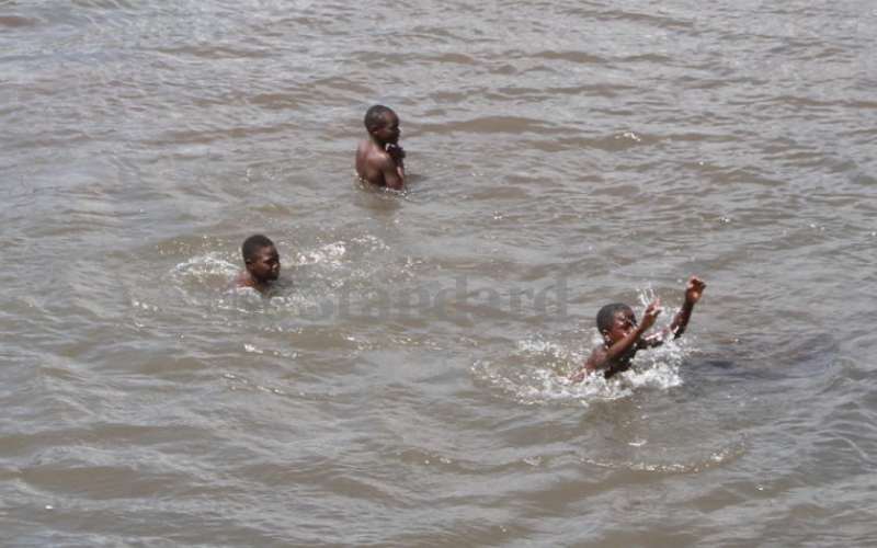 They come in large numbers on sunny days...