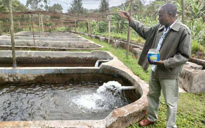 Ex soldier breaks new ground with trout fish
