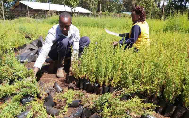 Farmers and WFF partner to restore degraded forest