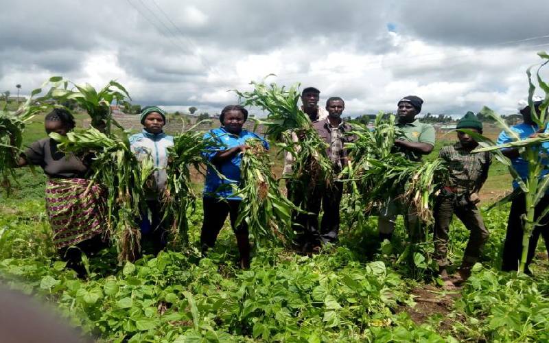 Farmers cry foul after crops destroyed in row