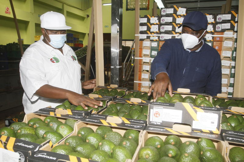 Fresh produce exporters turn to sea amid air freight frustrations