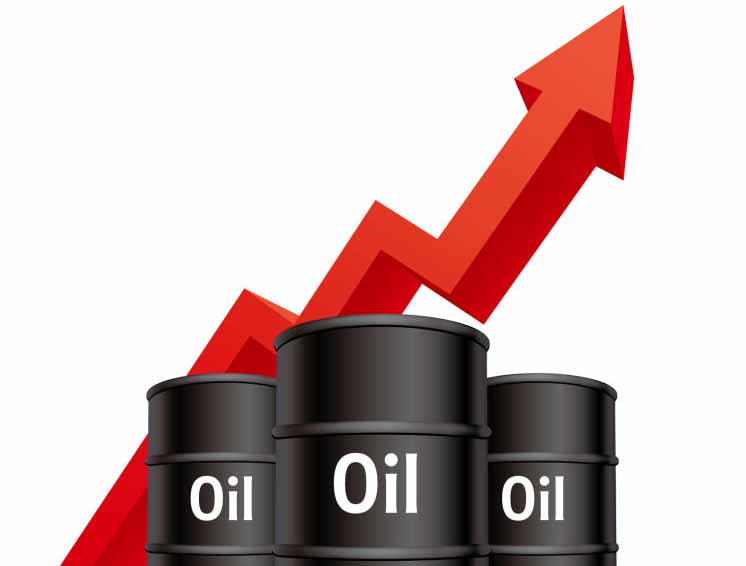 Fuel prices may rise as oil import bill doubles in nine months
