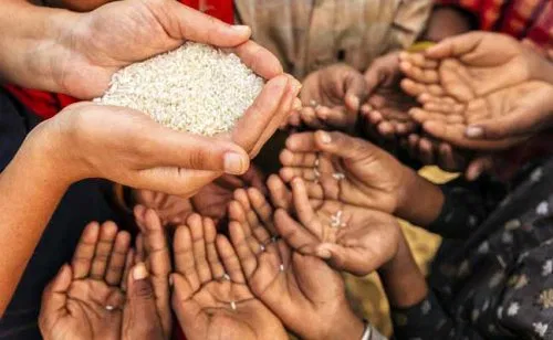 Global hunger could double due to COVID-19 blow: U.N.
