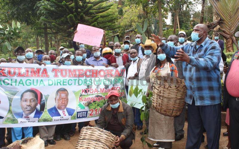 Government ups fight with KTDA bosses