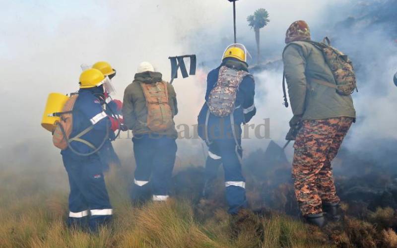 The fire broke out on Saturday night, Feb 6.