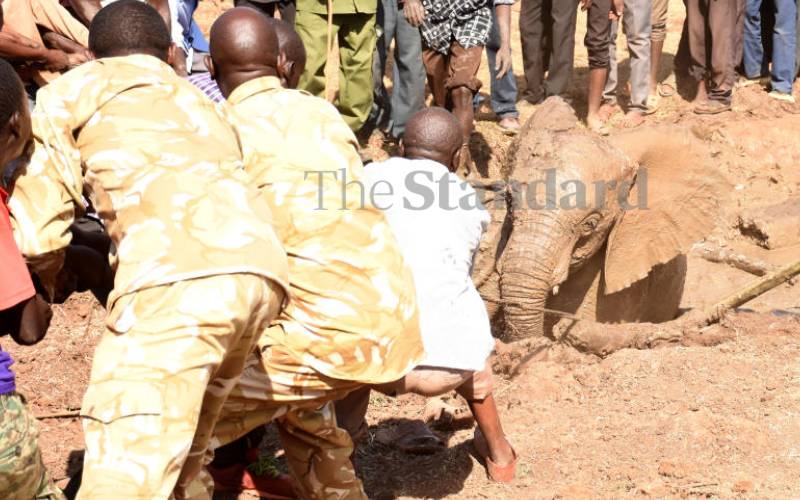 One such incident took place at Lake Kamnarok