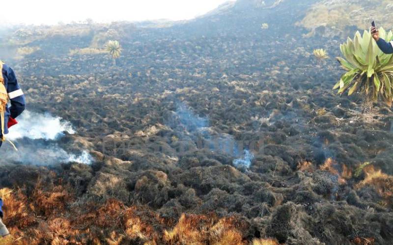 The cause of the fire is yet to be established. 