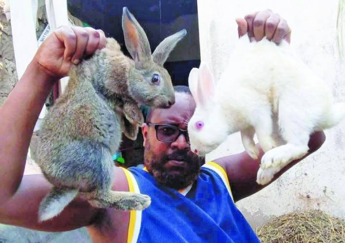 I started my business with two rabbits