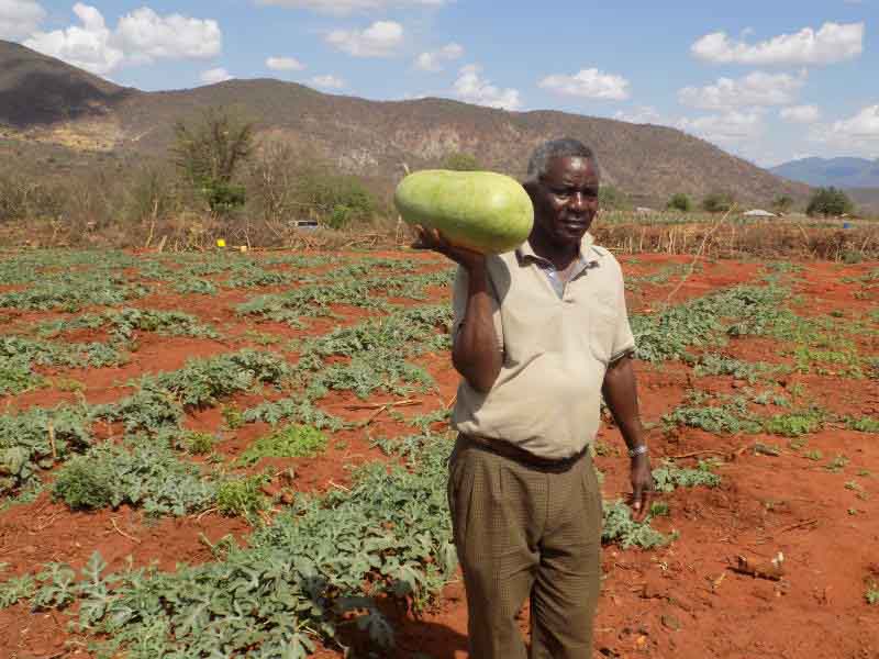 Israel to set up irrigation model farm in Embu