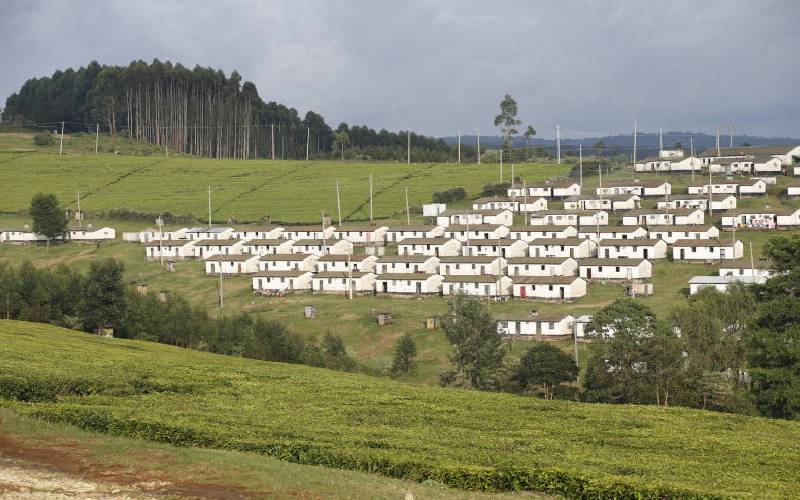 Kericho tea can be a key tourist attraction