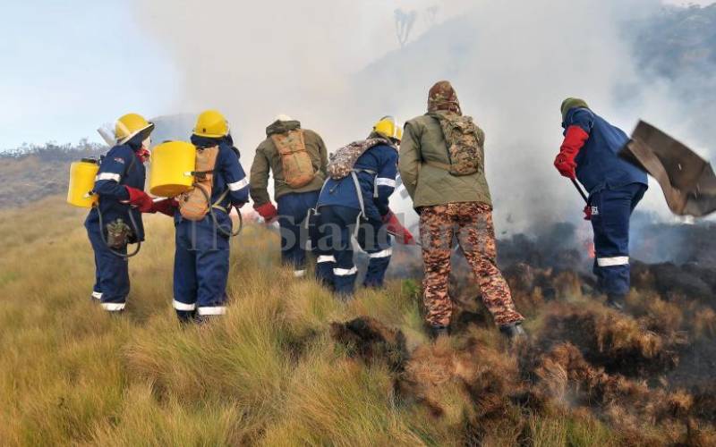 The blaze burnt through hectares of moorland. 