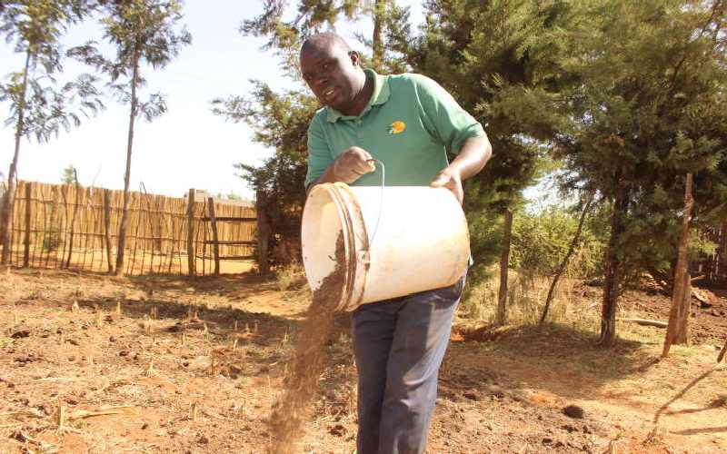 Manure demand rises as farmers stay away from costly fertiliser