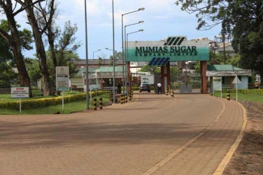 Mumias back in operation after eight months closure