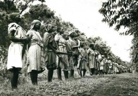 Muthoni Nyanjiru undressed and incited men to fight colonialists
