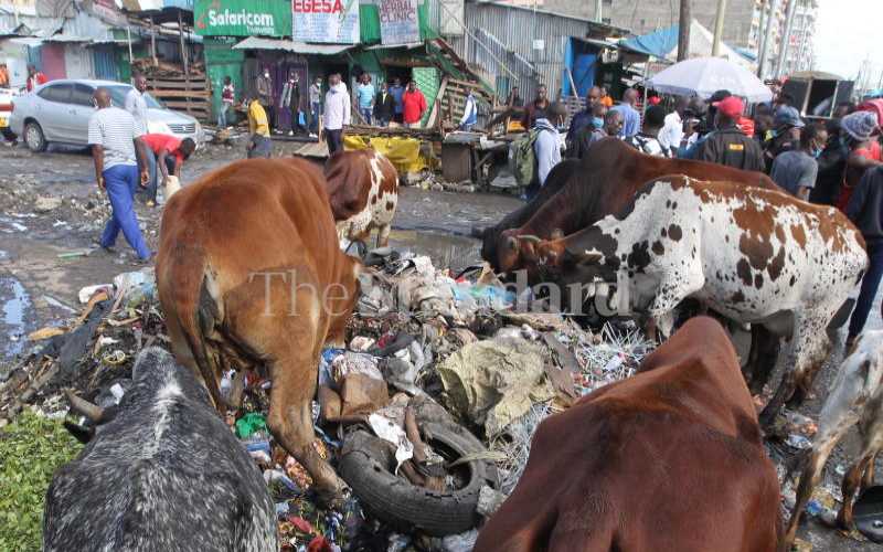 New Animal Health strategy to propel Africa’s world animal resource economy