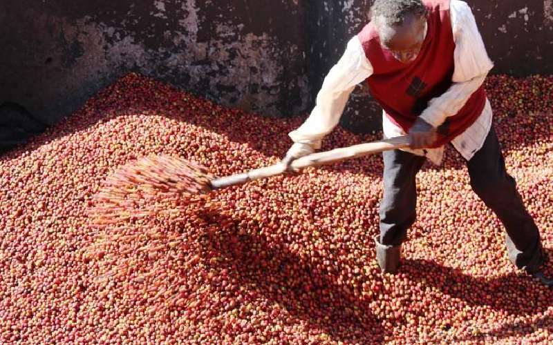 New push to root out coffee sector cartels