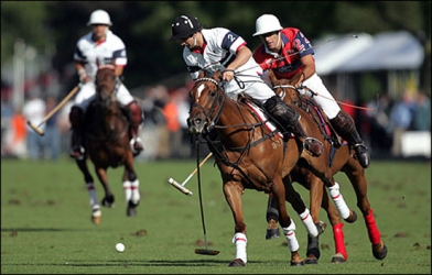 Polo: Praises to Samurai for their resilience after victory