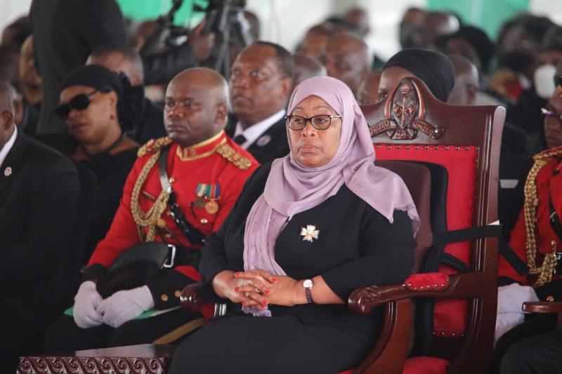 Samia Suluhu's tough job of restoring Tanzania's lost glory
