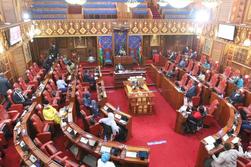 Senate passes Division of Revenue Bill