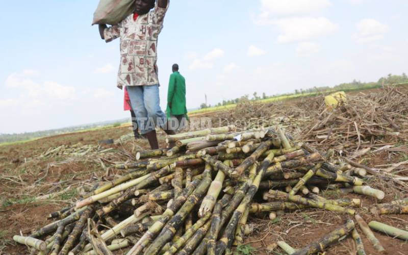 15 targeted in probe on the looting of Mumias 