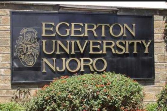  Auctioneer impounds Egerton University cars over debt