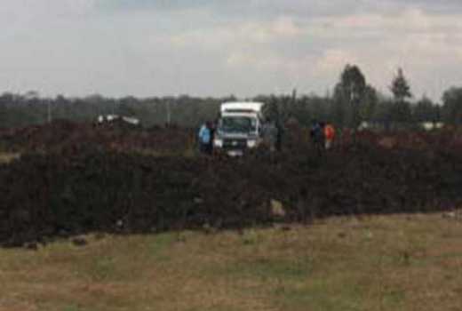 Cons now target Sh8 billion Karen land