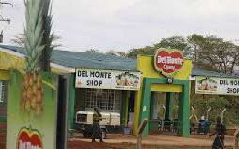 Del Monte fights NLC over its land