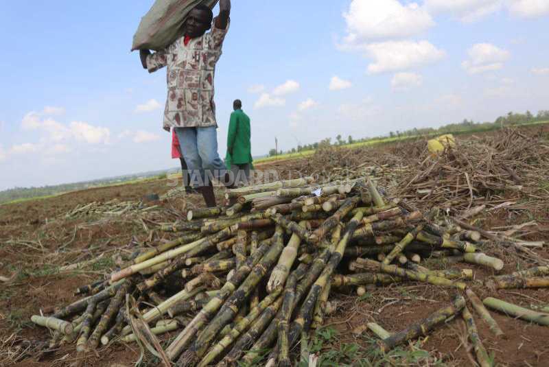 Governors want management of sugar companies devolved 