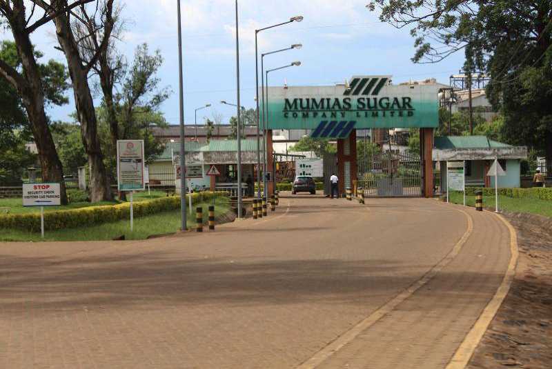 Mumias firm now seeks Sh2b bailout
