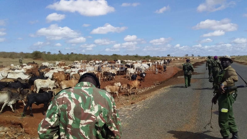 Ranchers protest invasion of their estates by illegal grazers