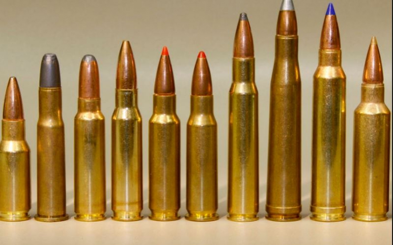 Trader disowns 500 illegal bullets