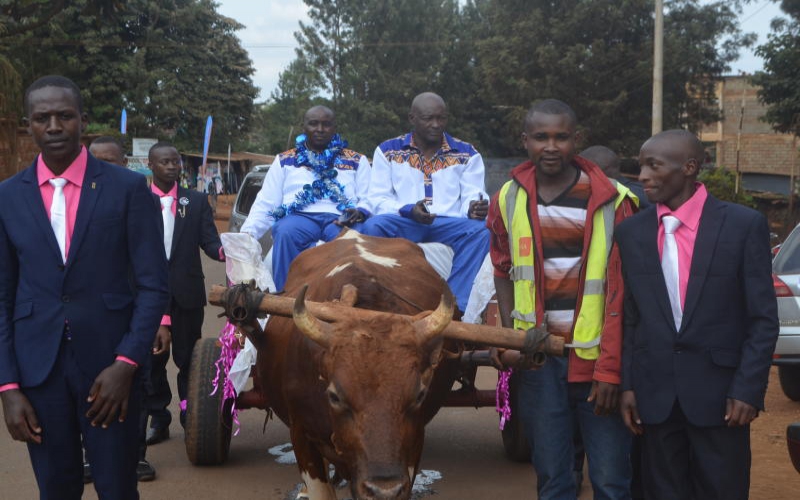 Wedding made easy: Why limousine when donkey carts will do? (Photos)