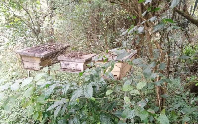 Two bodyguards on spot over alleged torture, killing of beehive thief