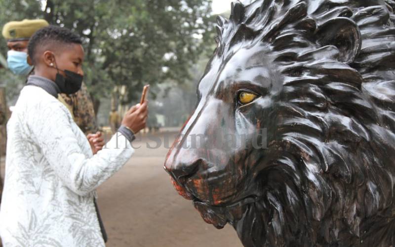 August 10 is World Lion Day.