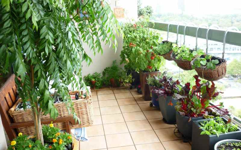 Balcony gardening ideas 