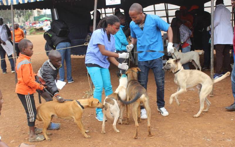 We should all be rabies ambassadors to eradicate killer disease