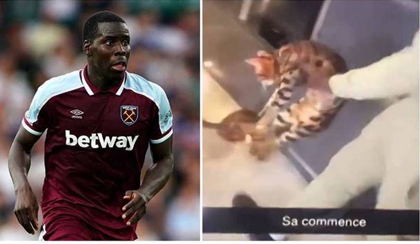 West Ham condemn Zouma for kicking his cat