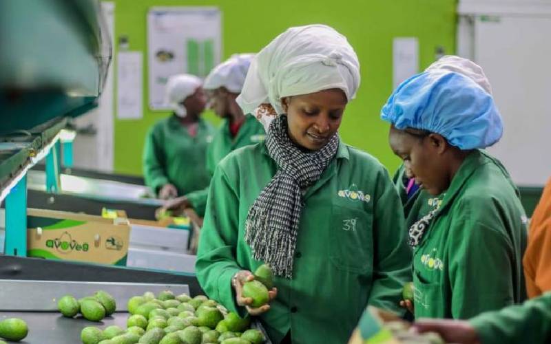 Why fruit exporters need more support