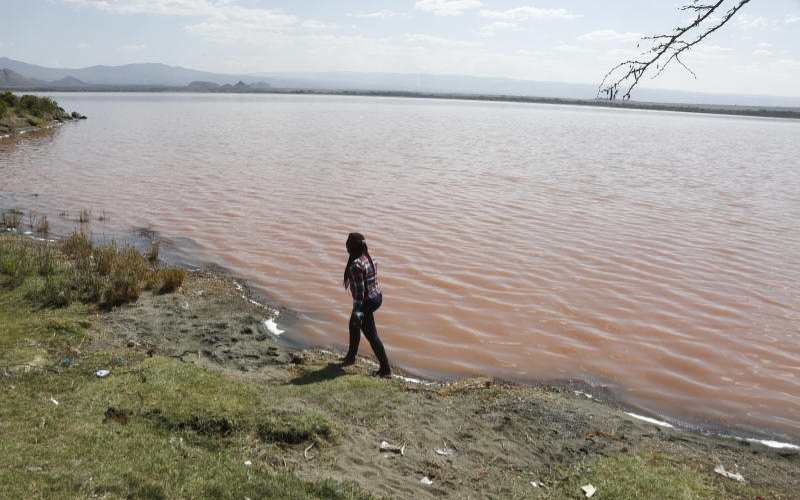 Why water in Lake Elementaita is turning pink