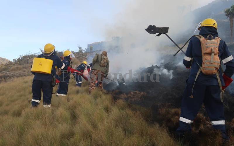 Aberdare fire contained, hectares destroyed