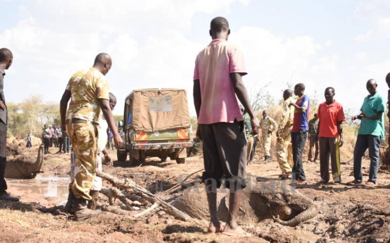 while searching for water after River Kerio...