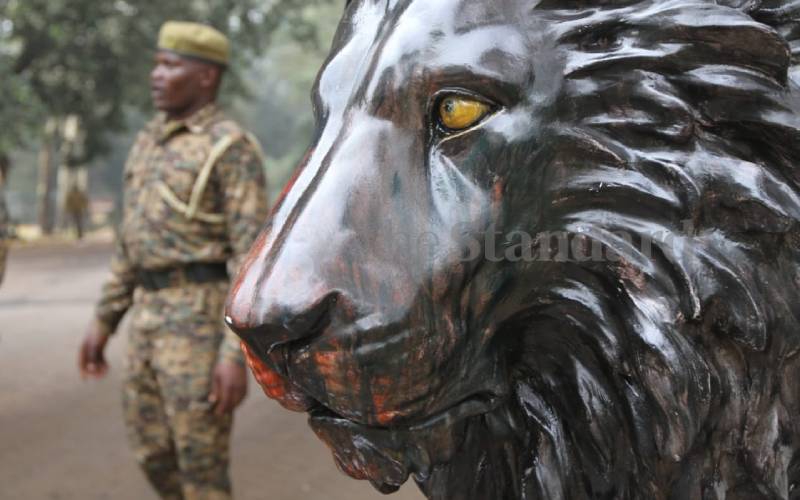 A day celebrated every year to raise awareness.