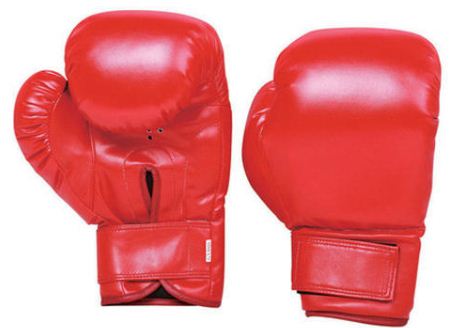 32 boxers promoted to the National Boxing League