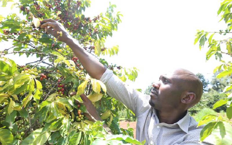 Agriculture remains country’s economic backbone despite dip in production